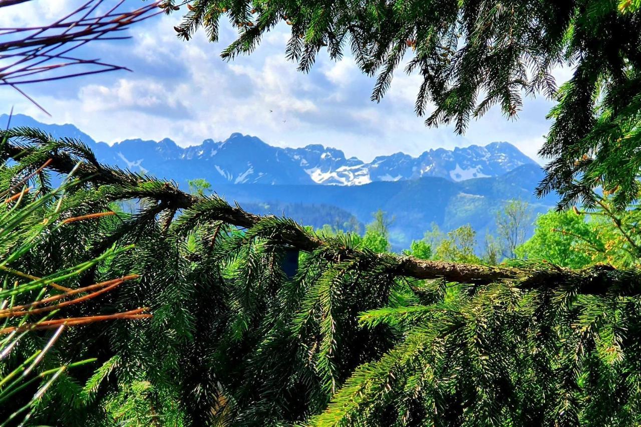 Tatrzanska Rezydencja Pod Brzyzkiem Zakopane Exterior photo