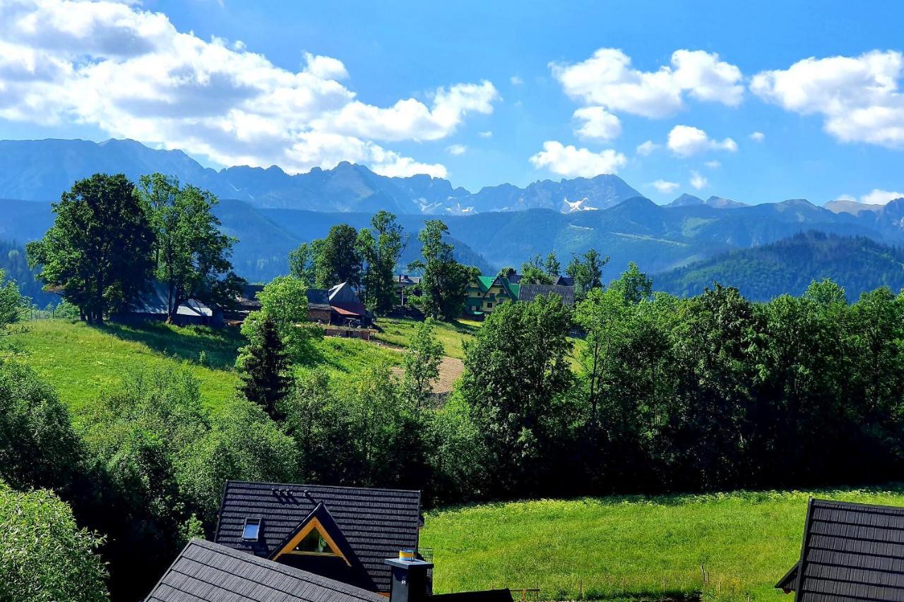 Tatrzanska Rezydencja Pod Brzyzkiem Zakopane Exterior photo